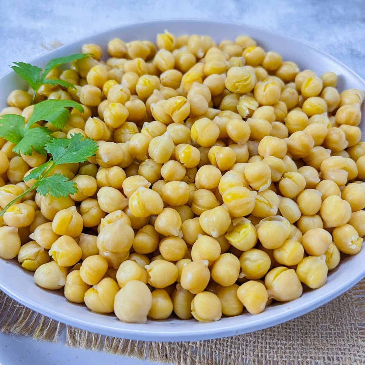 Cooked chickpeas garnished with fresh cilantro.