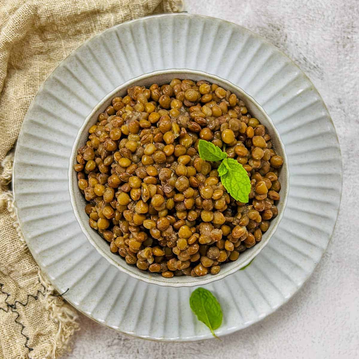 Cooked brown lentils topped with a mint leaf.