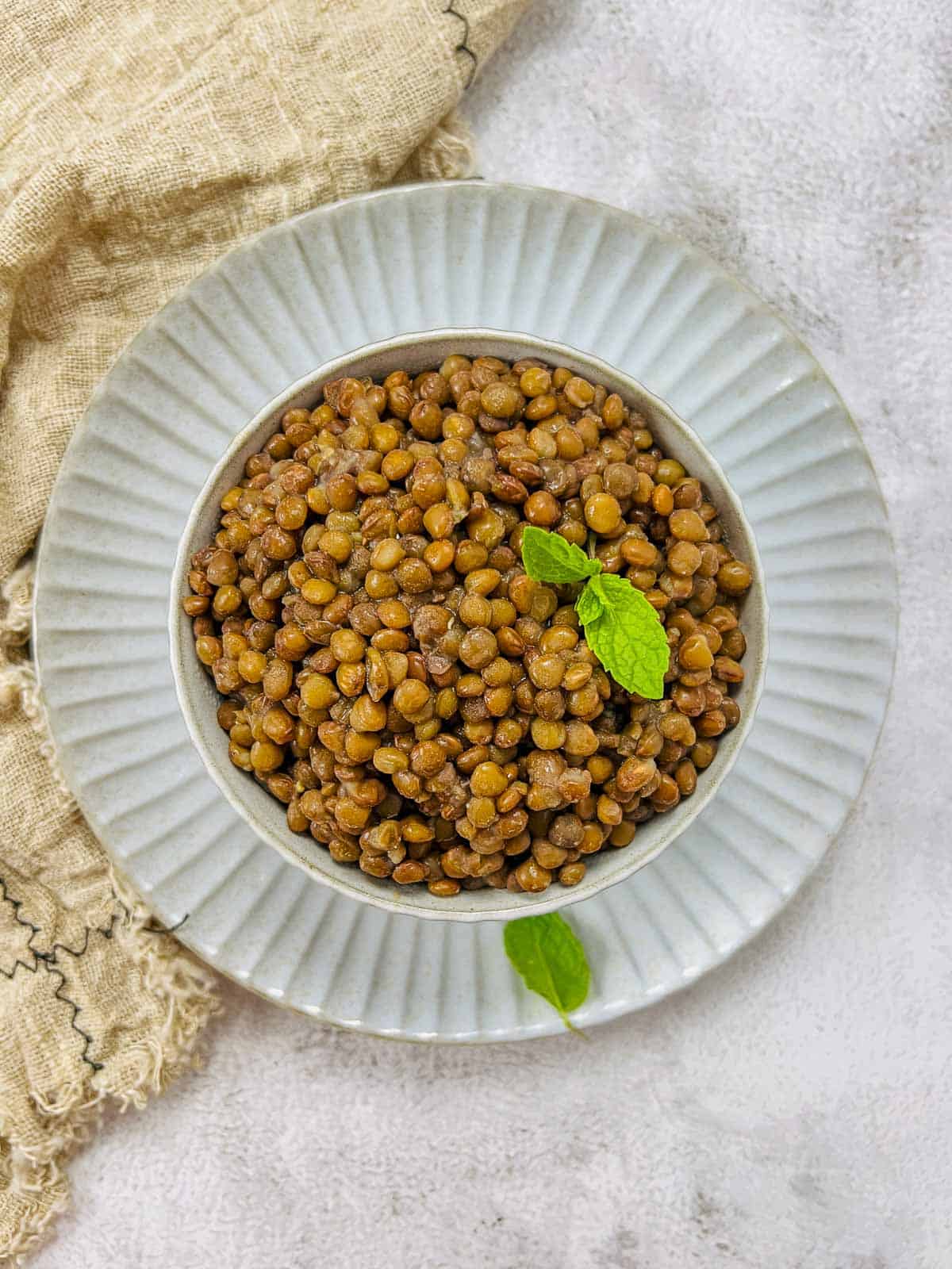 Brown lentils in a white bowl.