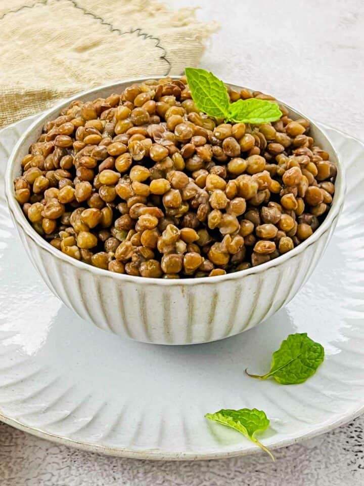 Cooked brown lentils in a white bowl with mint leaves in the background.