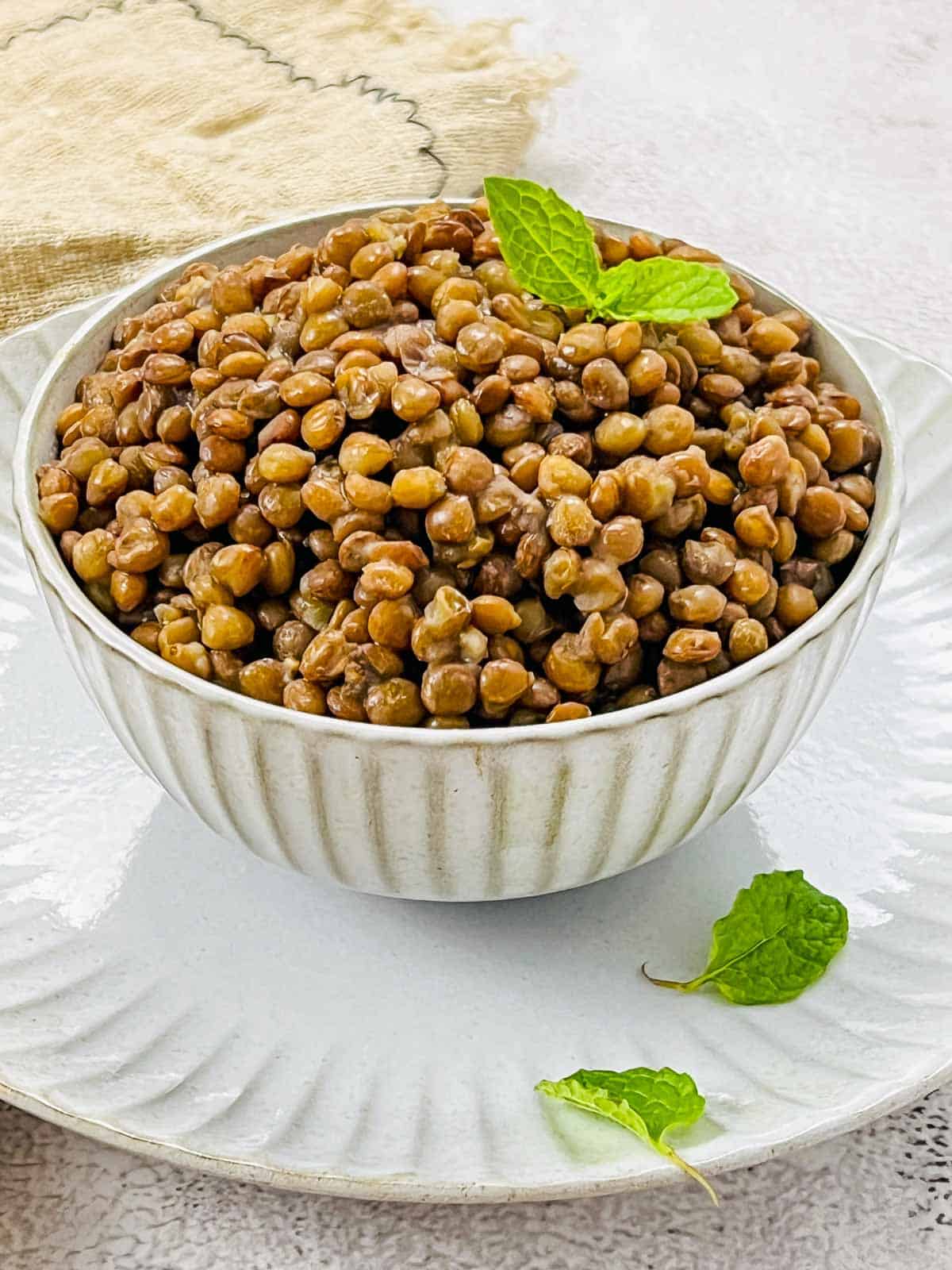 Cooked brown lentils in a white bowl with mint leaves in the background.