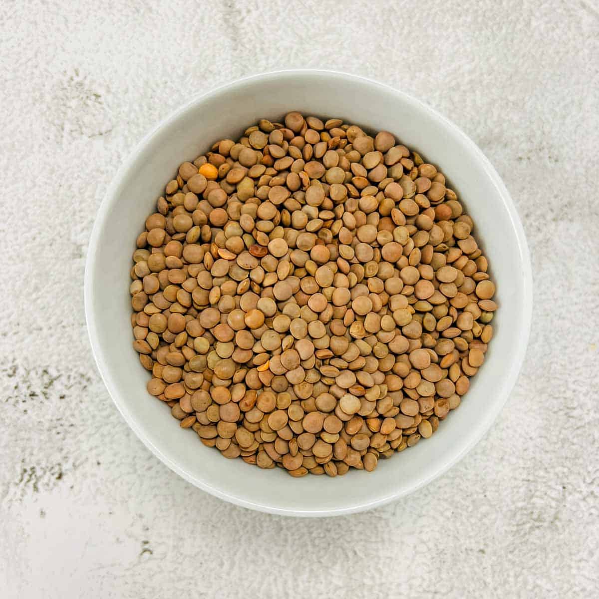 Dried brown lentils on a white bowl.