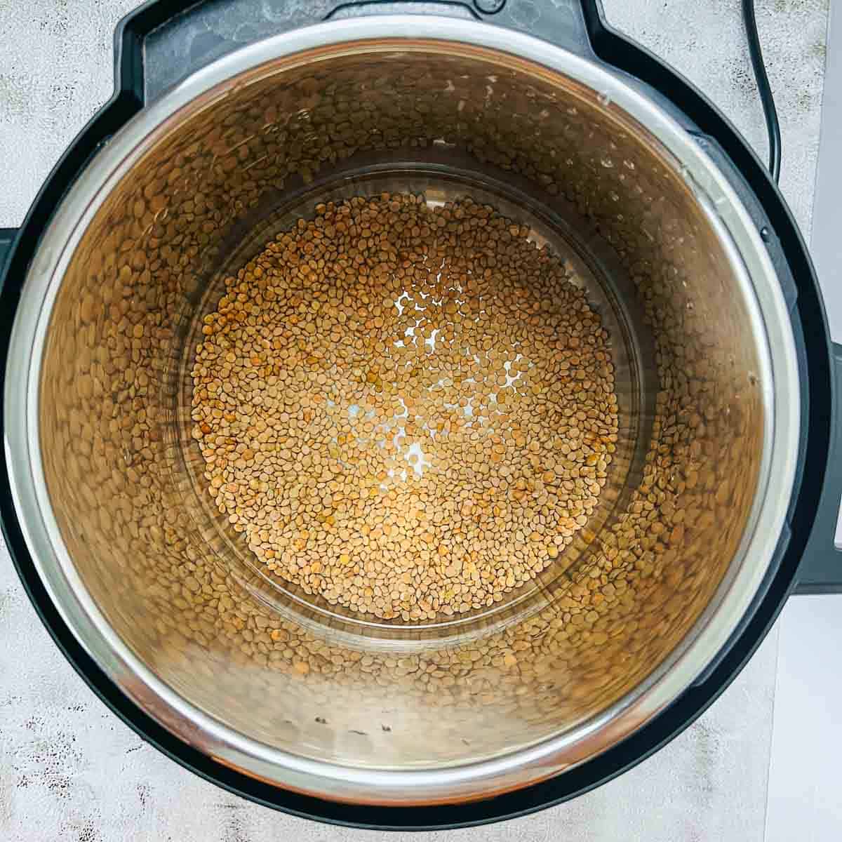Washed lentils and water in Instant Pot.