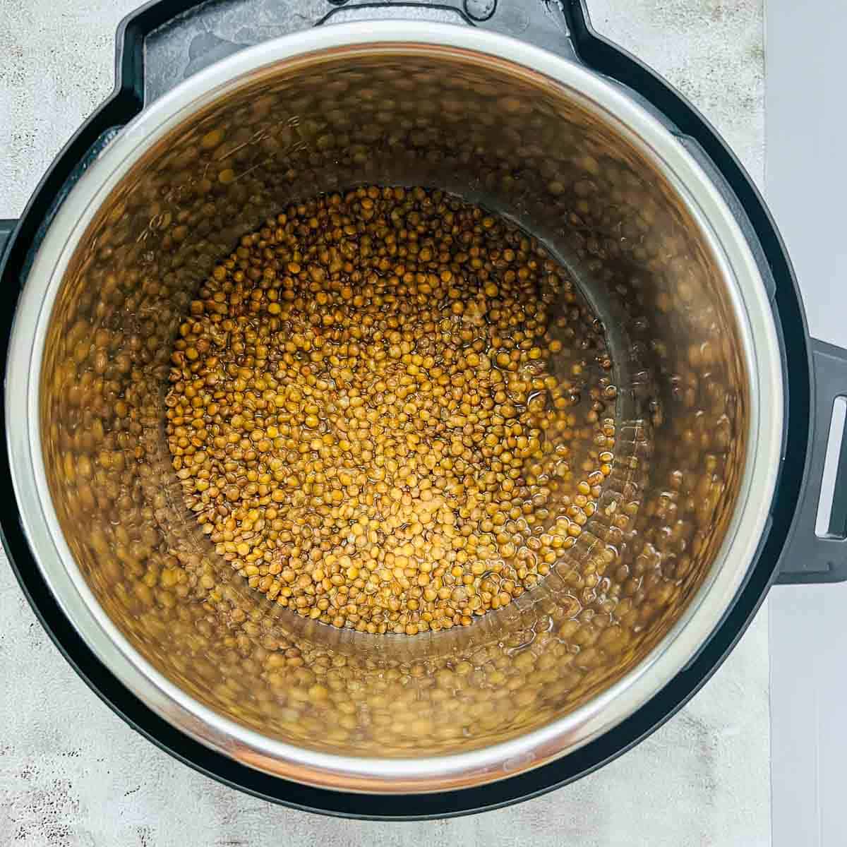 Pressure cooked brown lentils in Instant Pot.