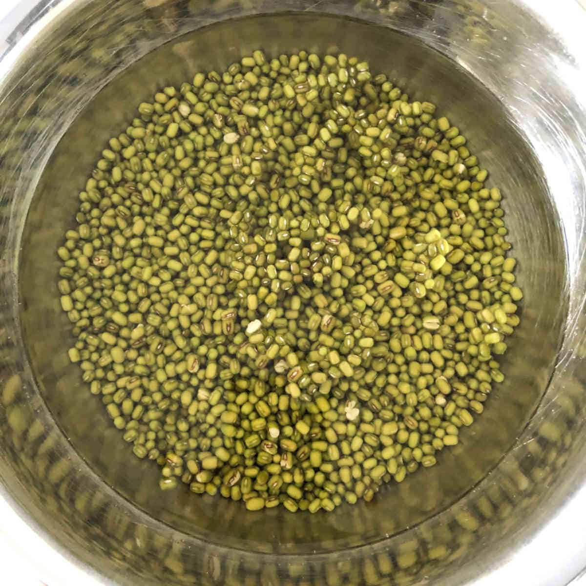 Soaked mung beans in a steel bowl.