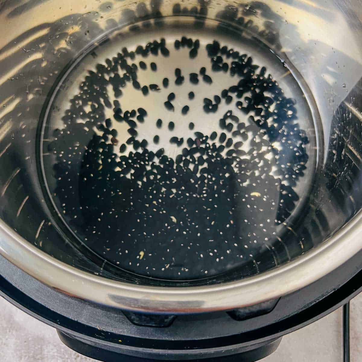 Dried black beans and water in the Instant Pot.
