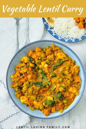 Vegetable Lentil Curry: Easy, Delicious, Vegan