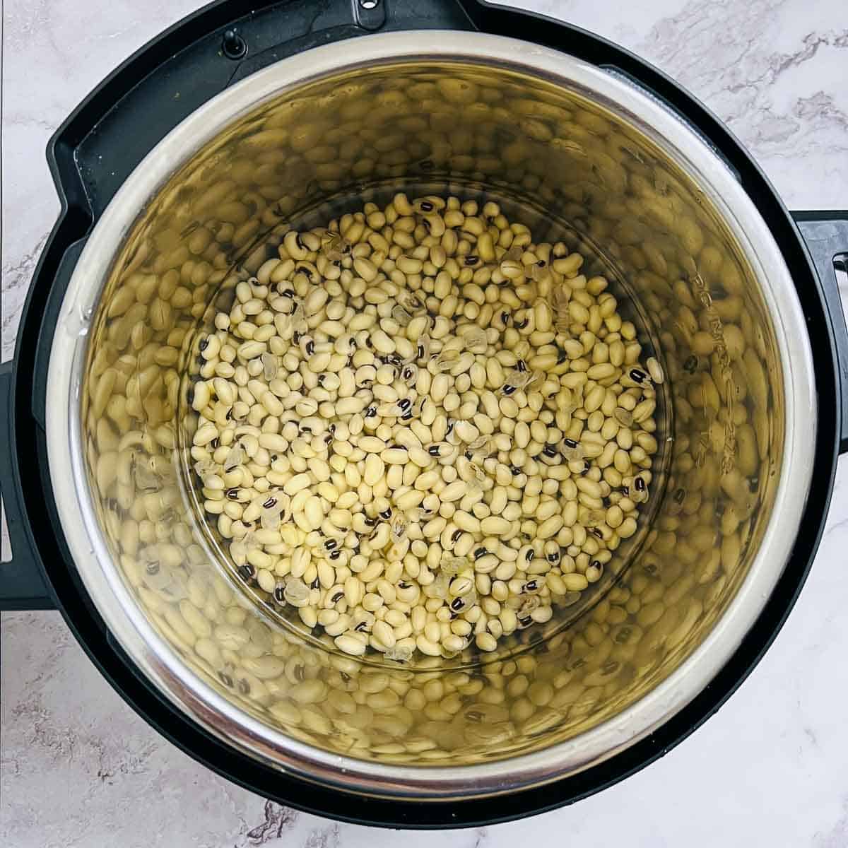 Soaked black-eyed peas and water in the Instant Pot.