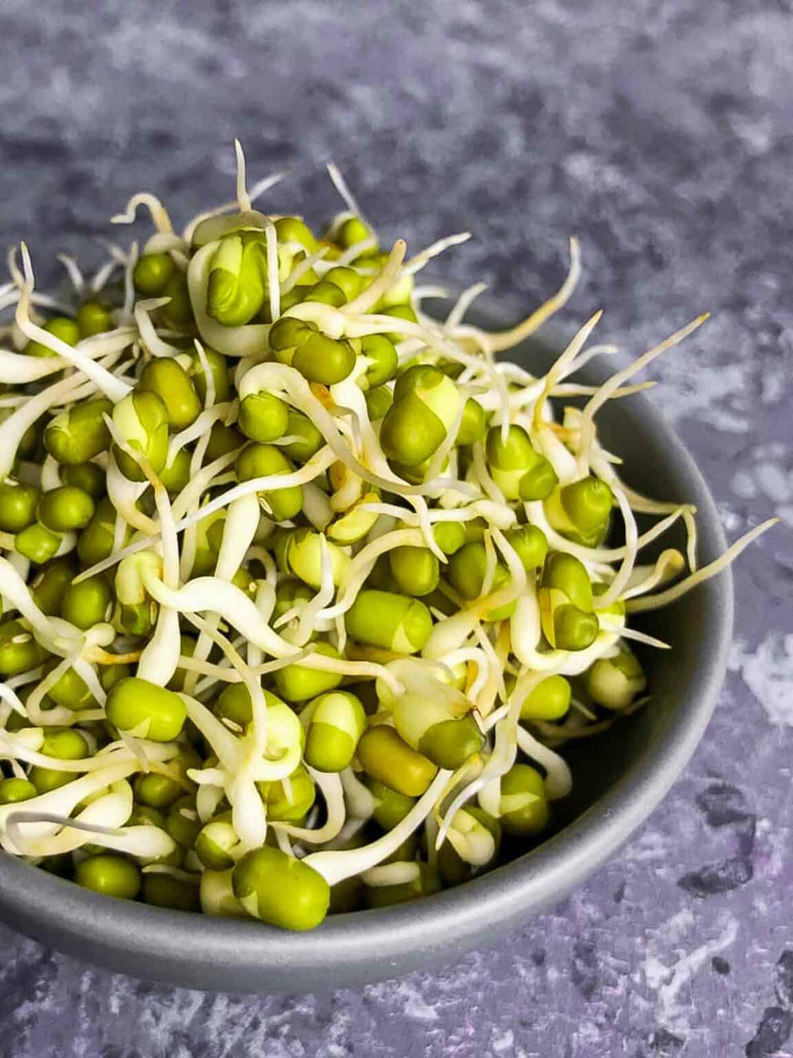 sprout-mung-beans-at-home-easy-beginner-s-guide