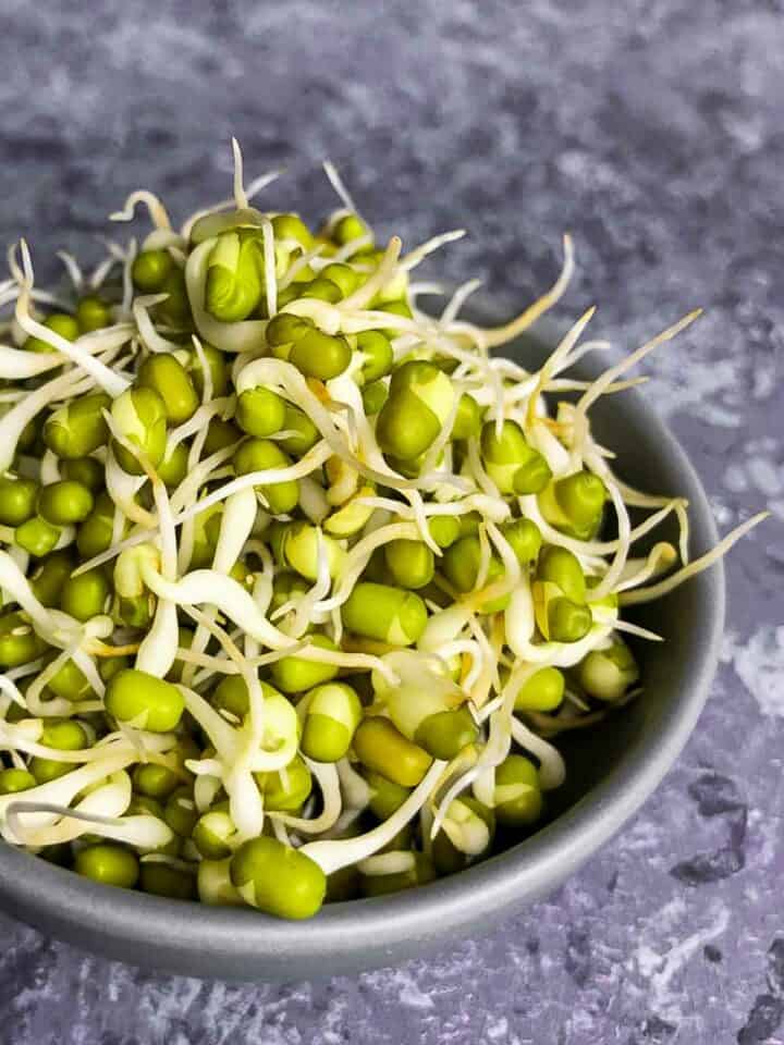 Sprouted mung beans with long shoots.
