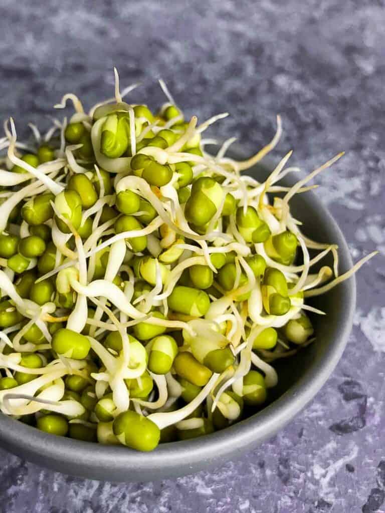 Sprout Mung Beans at Home: Easy Beginner’s Guide