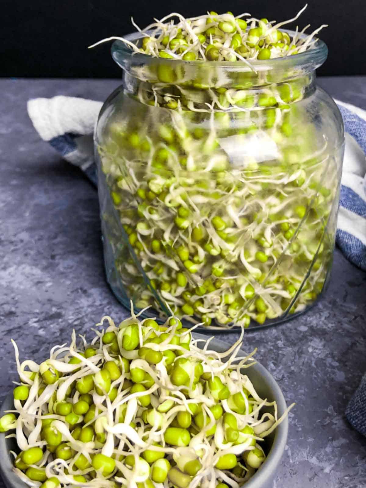 Sprouted mung beans stored in a glass jar.