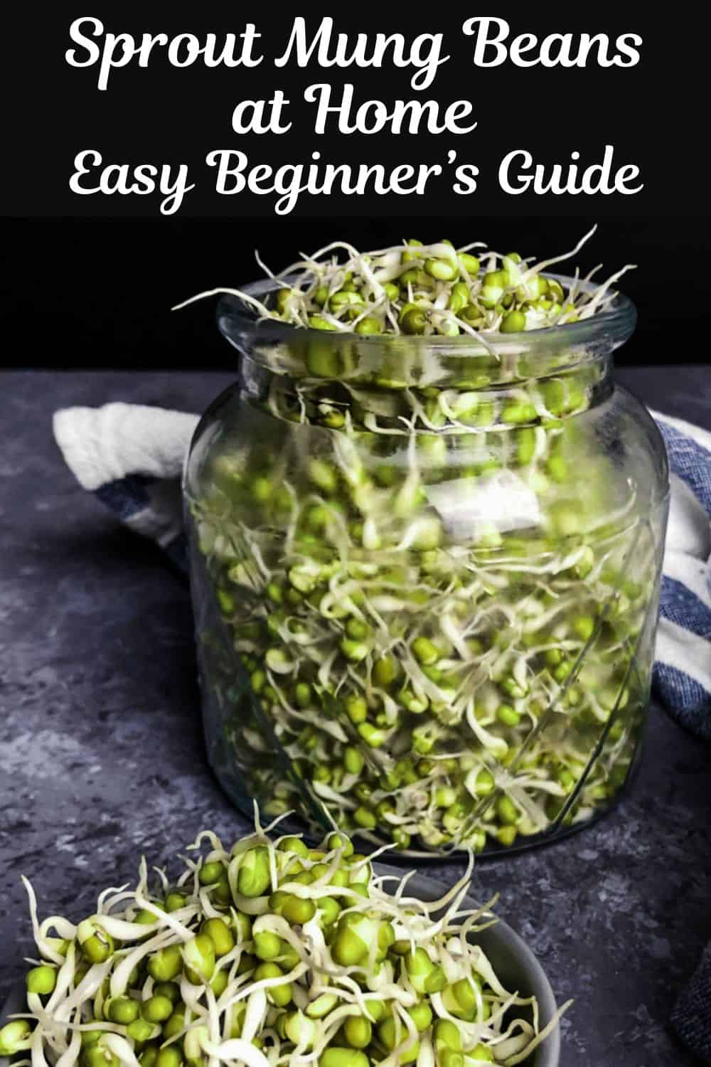 Mung bean sprouts Pinterest image.