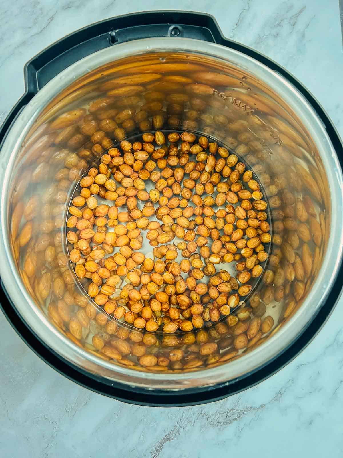 Raw shelled peanuts in Instant Pot.