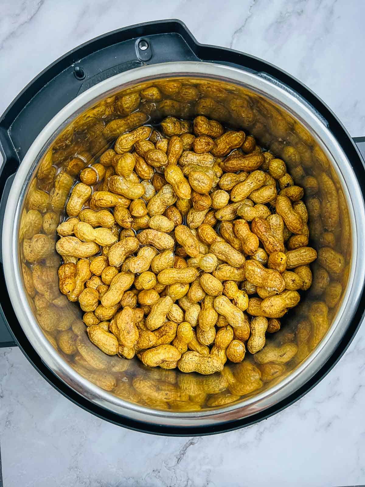 Cleaned unshelled raw peanuts in the Instant Pot.