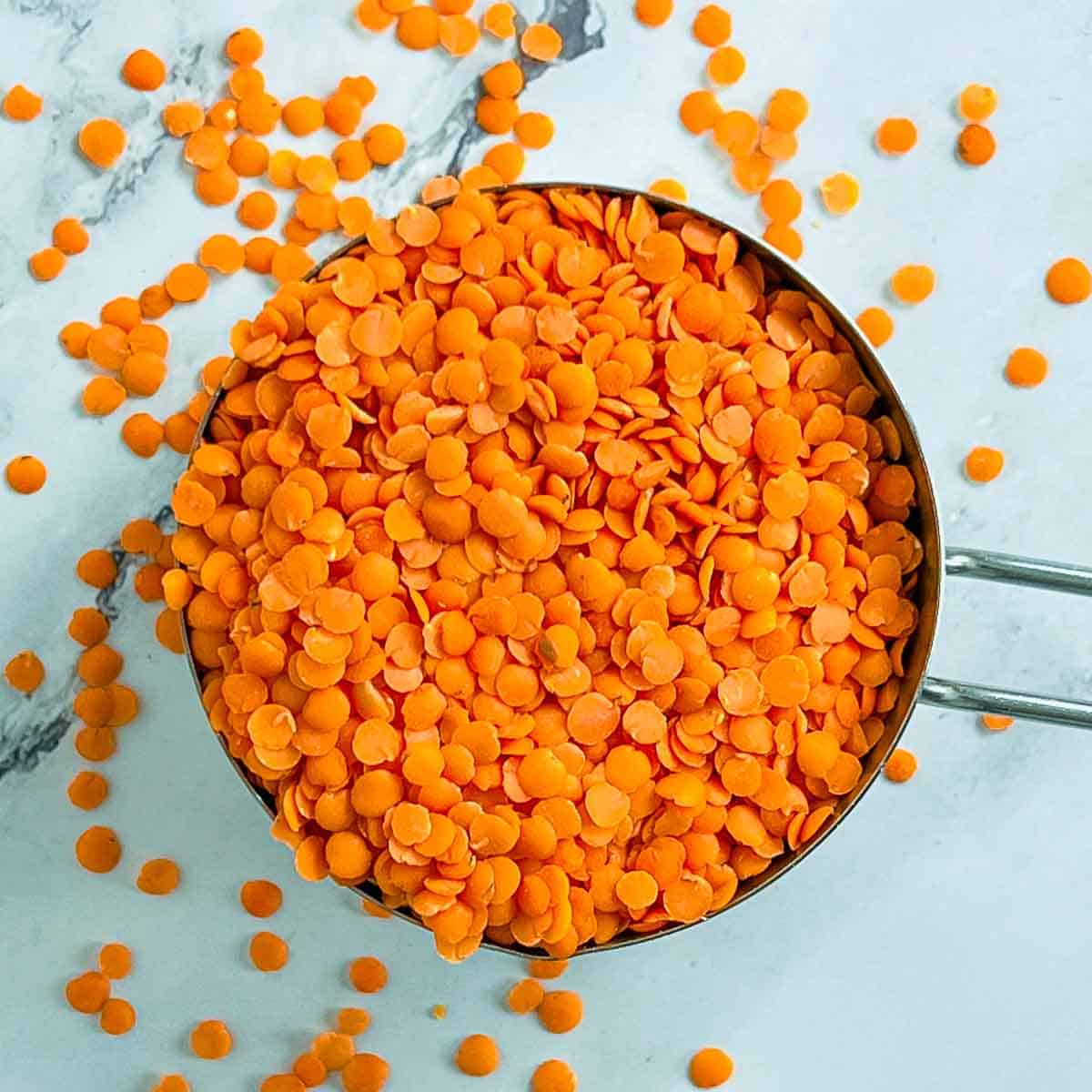 Dry red lentils in a measuring cup.