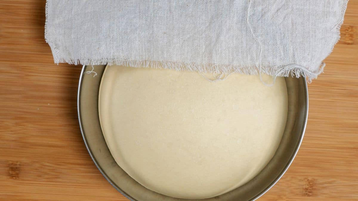 Fermented dough in a bowl.