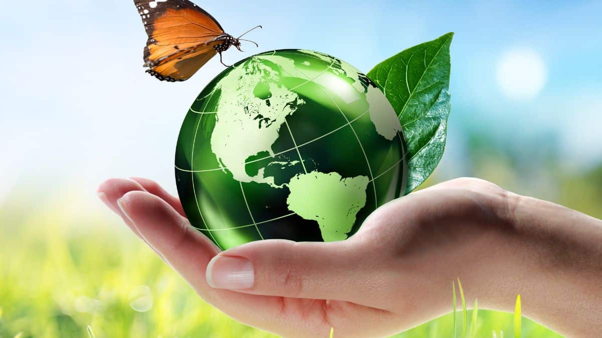 Image of woman holding a green globe with a butterfly.