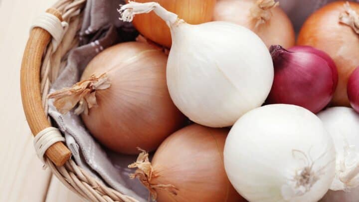 Onions in a basket.