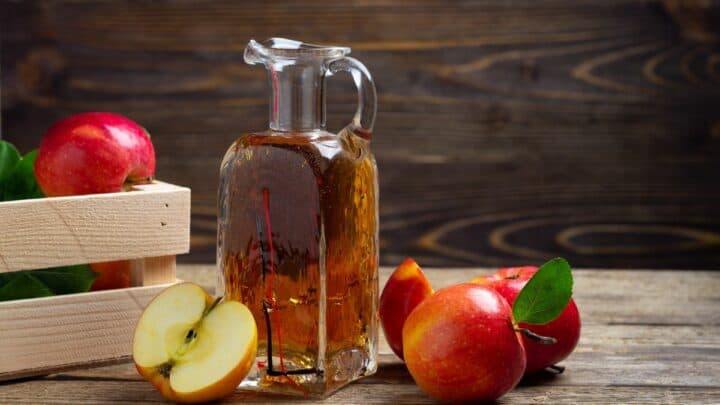 Apple cider vinegar in a bottle. Image Credit: Canva.