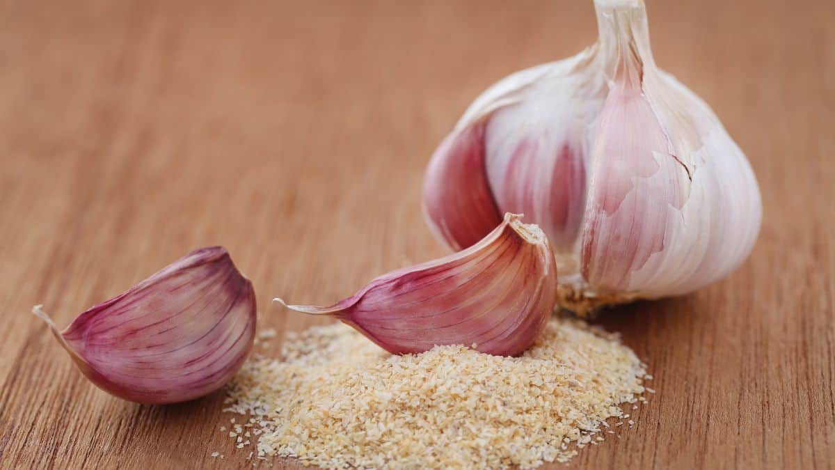 Garlic powder and whole garlic on a woode surface.