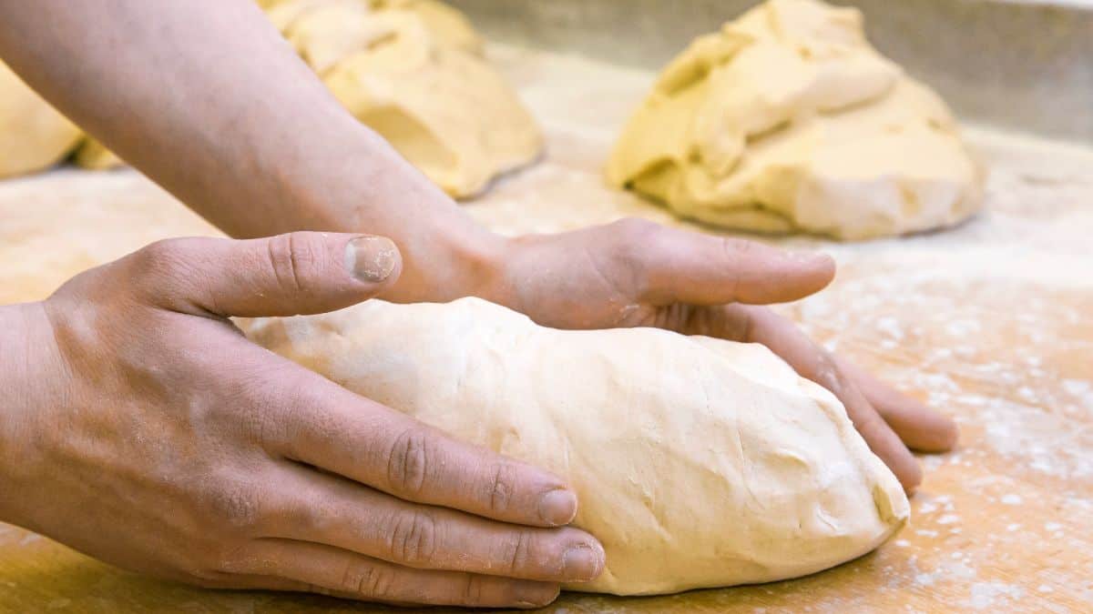 Person shaping the dough for making bread.