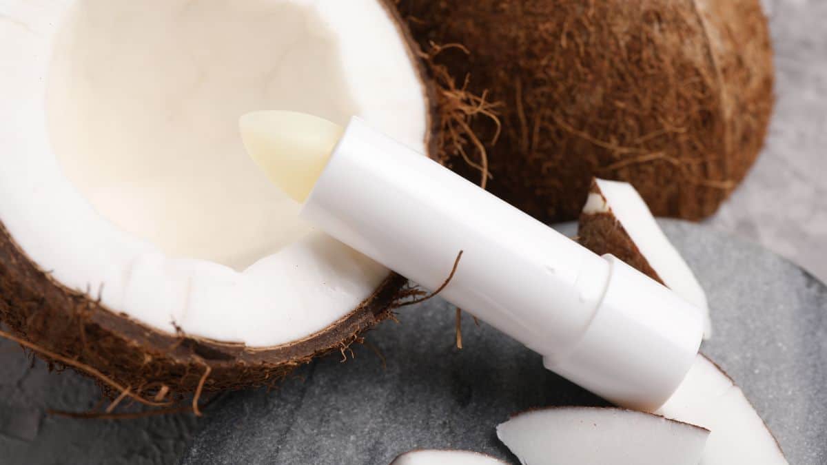 Coconut lip balm kept on a coconut shell.