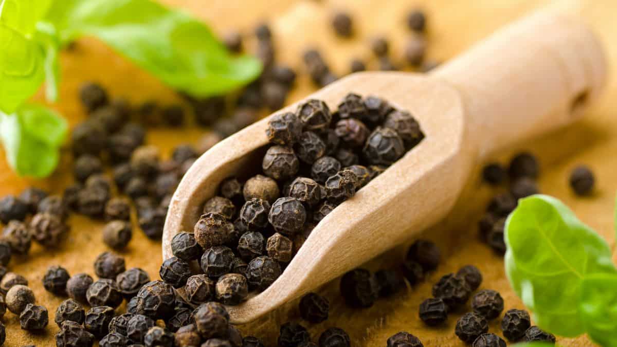 Black pepper on a wooden handle.