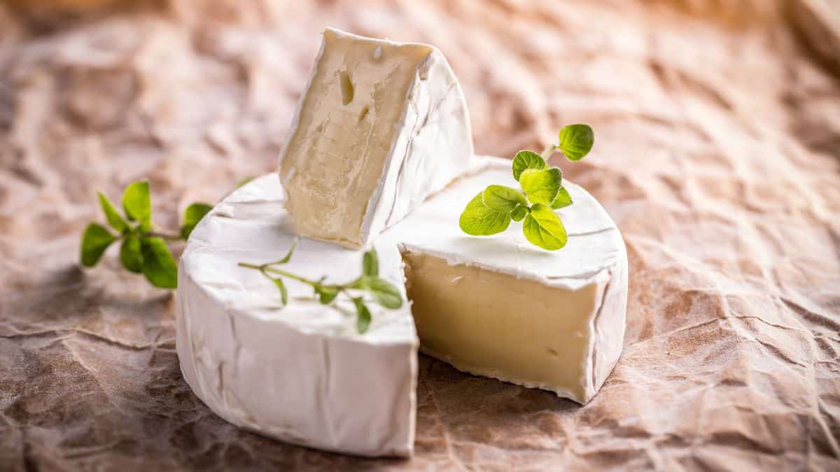 A round block of camembert cheese.