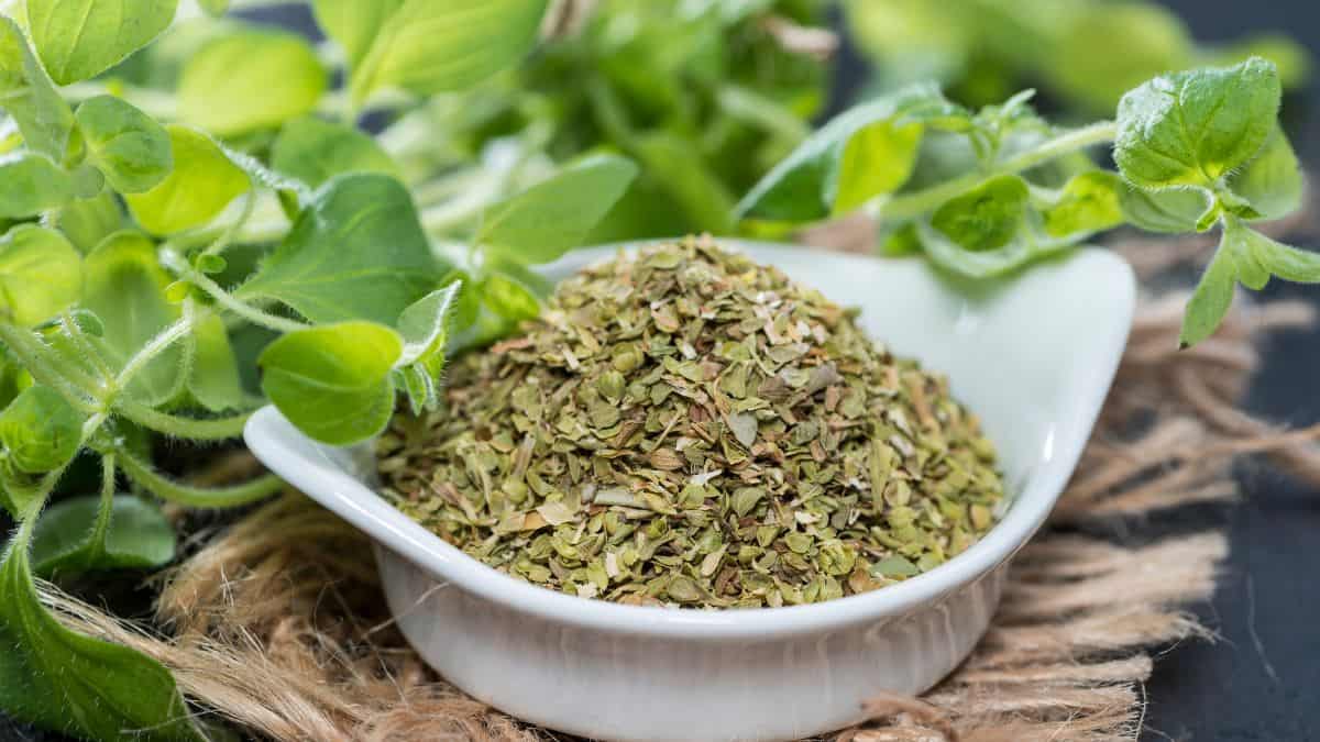 Dried oregano in a white bowl.