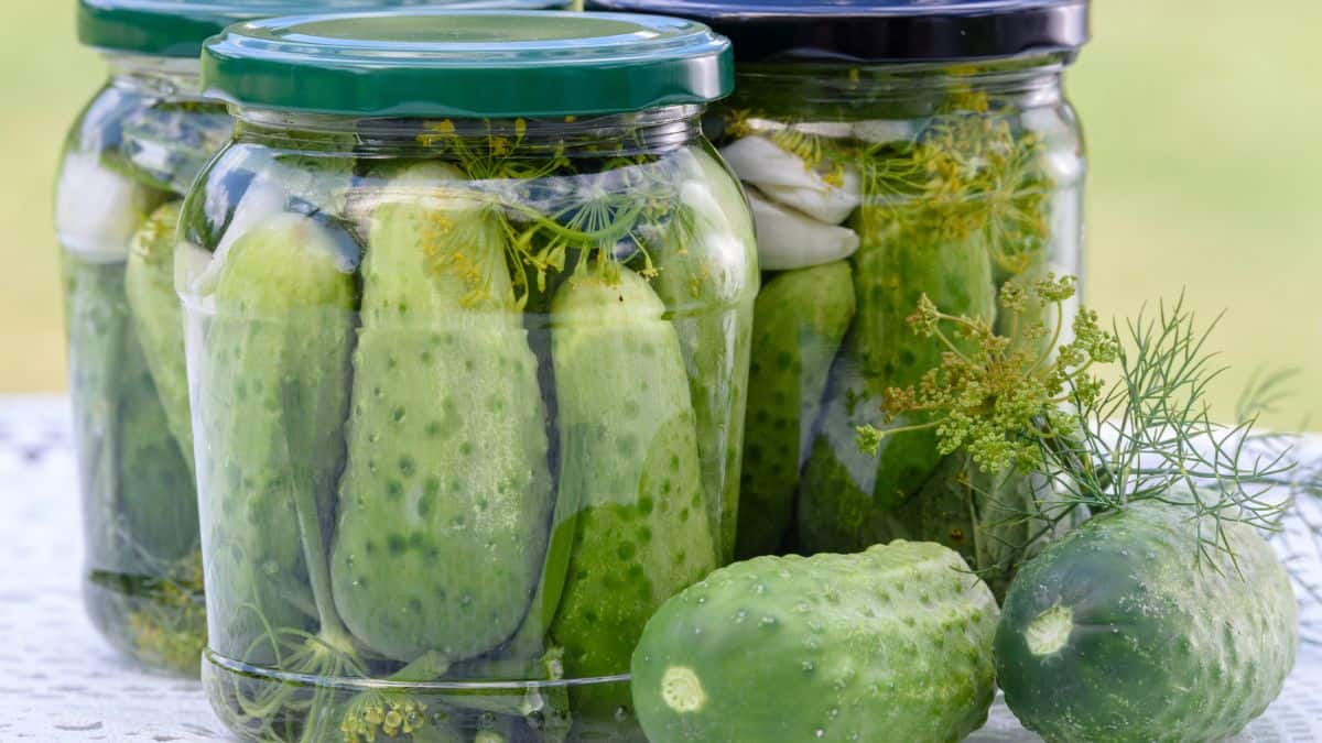 Pickled cucumbers in a jar,