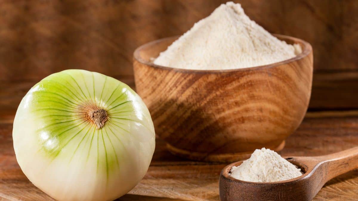 Onion powder in a bowl and a spoon.