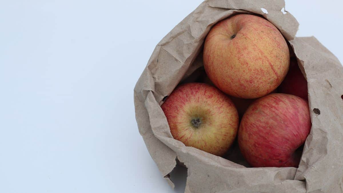 Paperbag with apples inside.