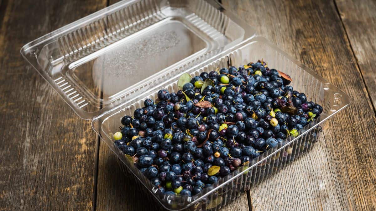 Berries in a plastic box.