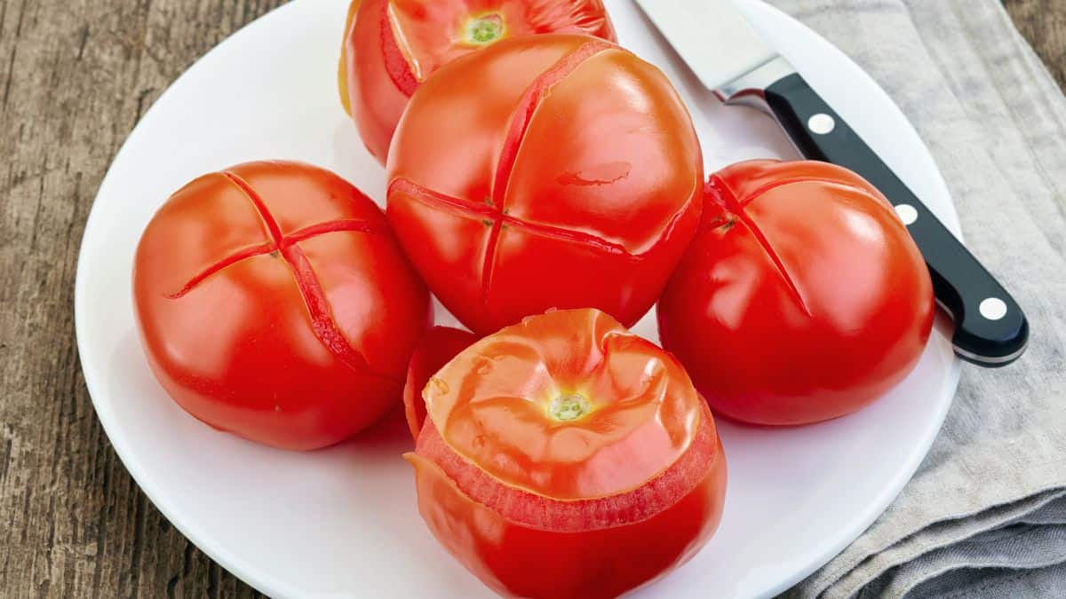 Blanched tomatoes on a white plate.