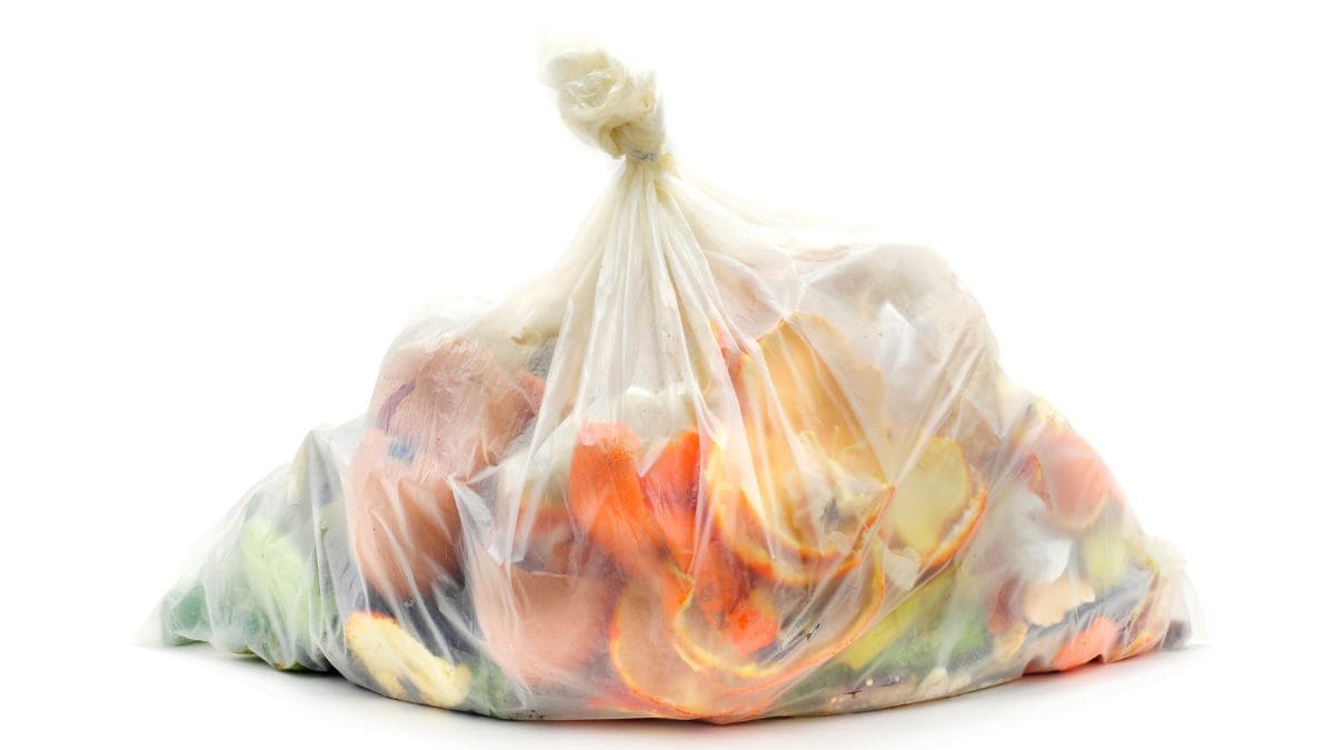 Biodegradable garbage bag with garbage in it.