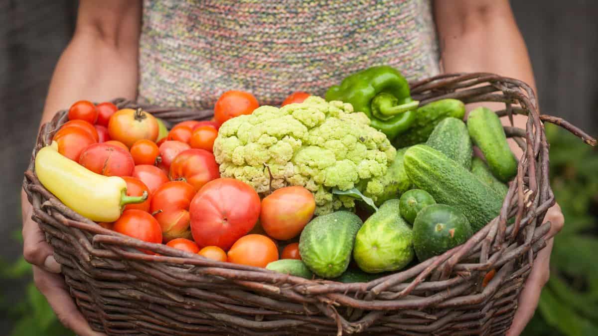 A woman carring seasonal produce.