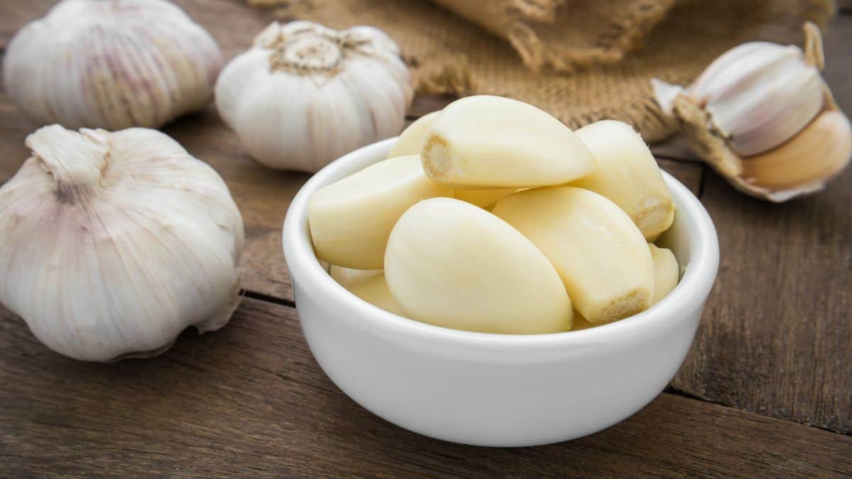 Peeled garlic in a bowl.