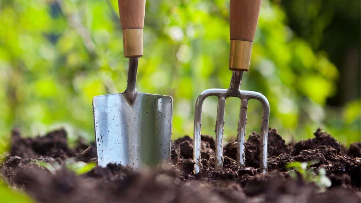 Garden tools placed on a garden bed.