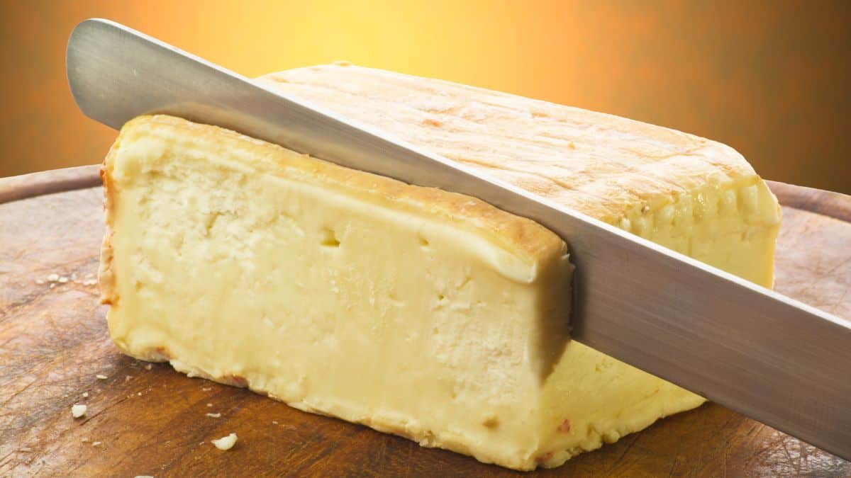 Person slicing taleggio cheese.