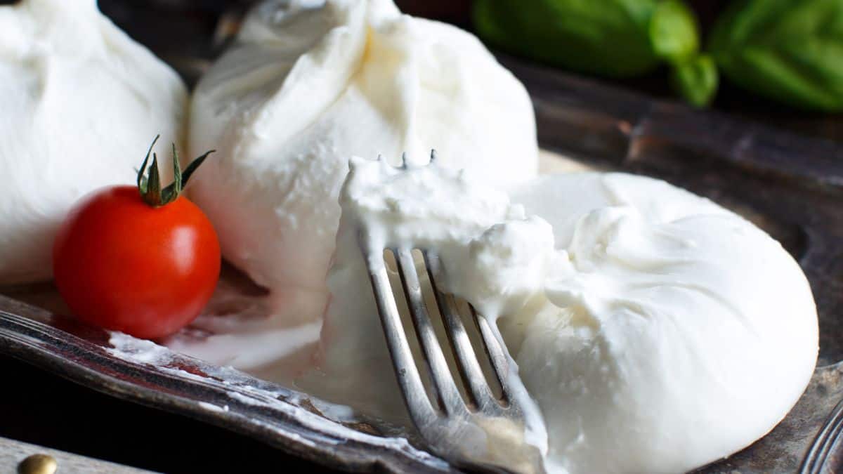 Balls of burrata cheese.