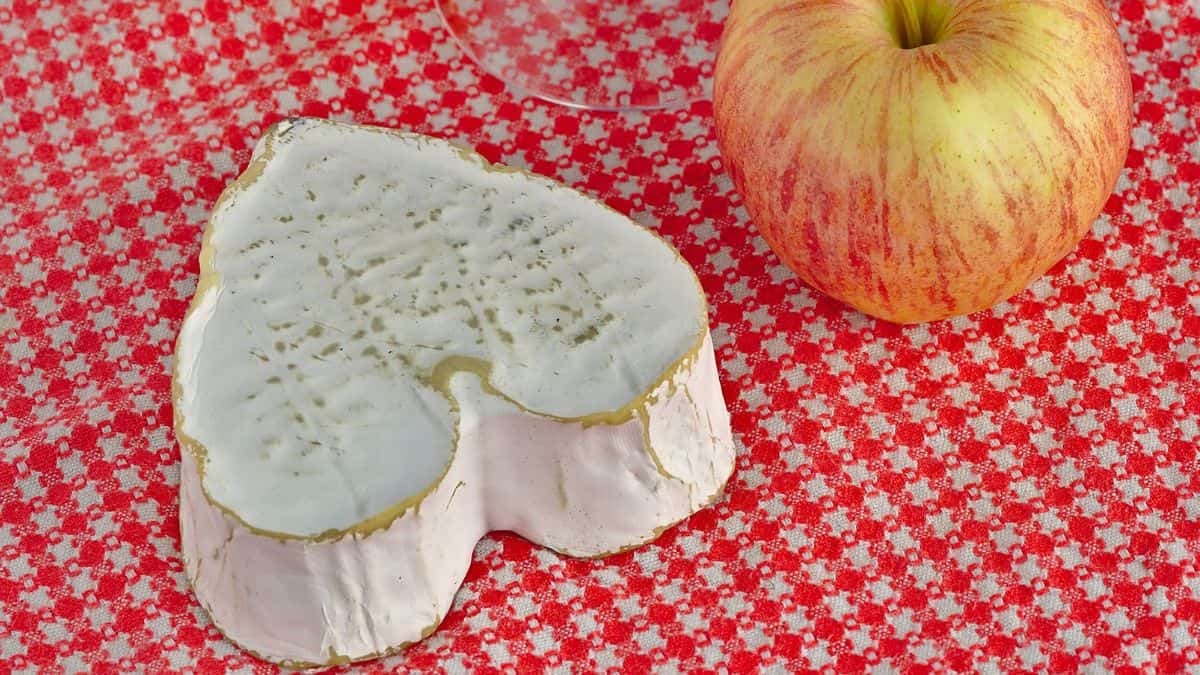 Neufchatel cheese block on a plate.