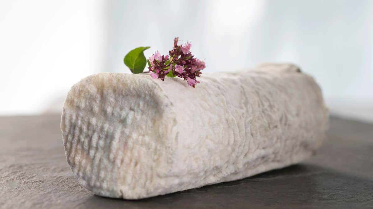 Close up of a log of goat cheese.