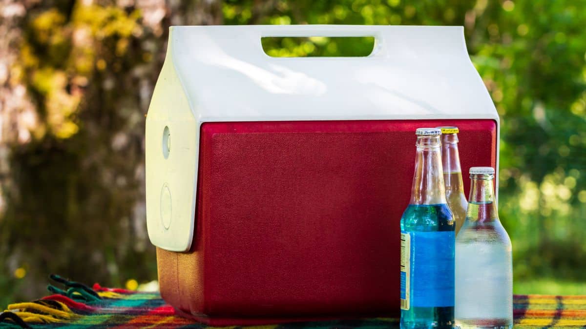 Cooler box on a picnic bench.