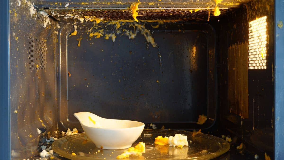 Egg exploded inside microwave.