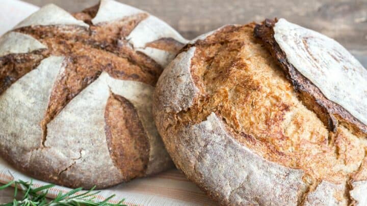 Sourdough boules.