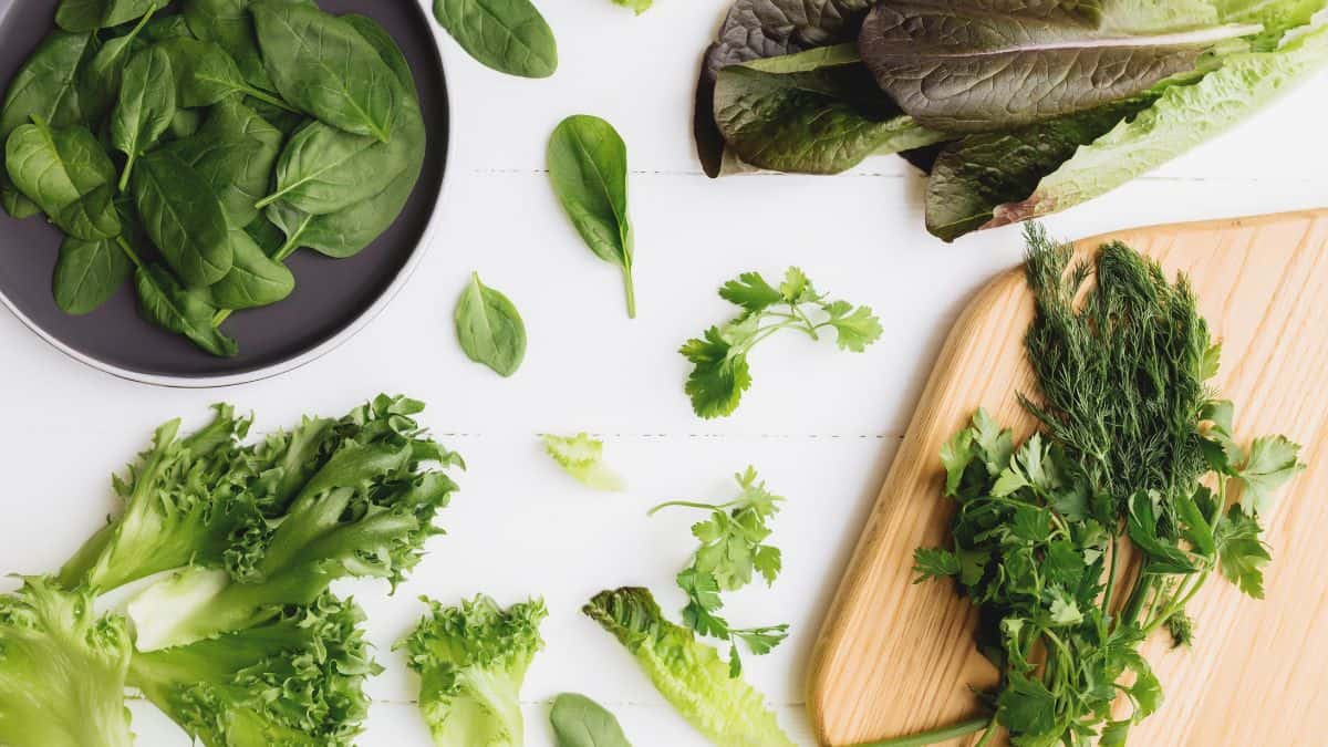 Leafy greens on a white board.