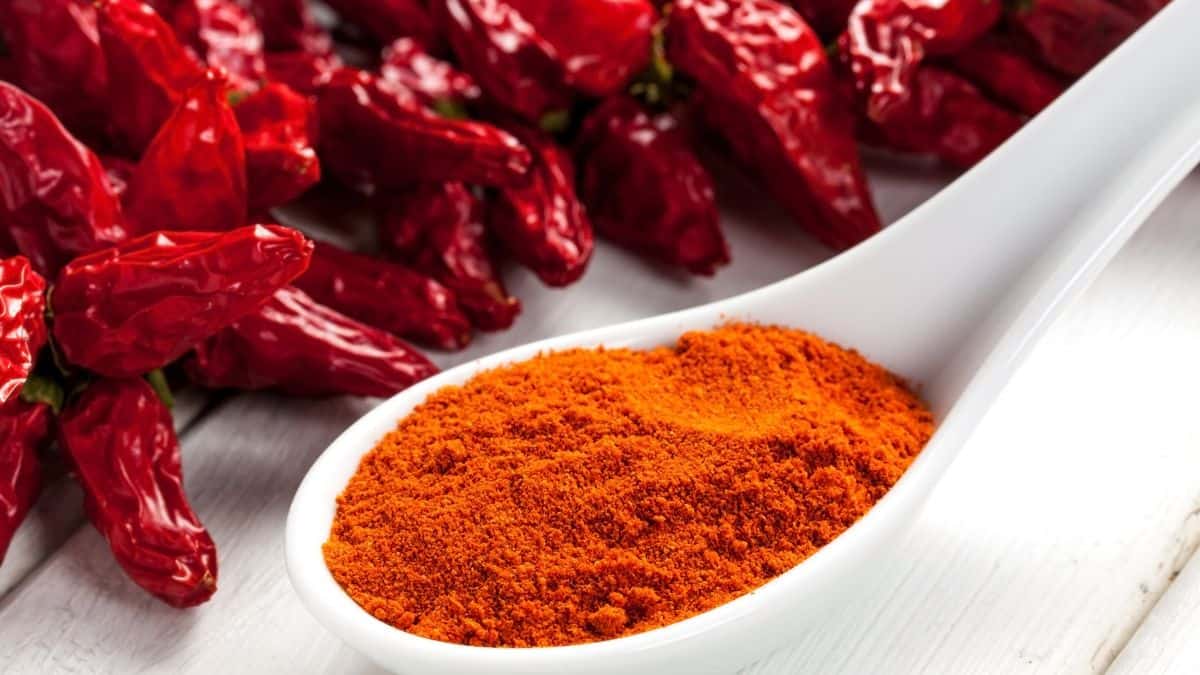 Paprika powder on a white spoon.