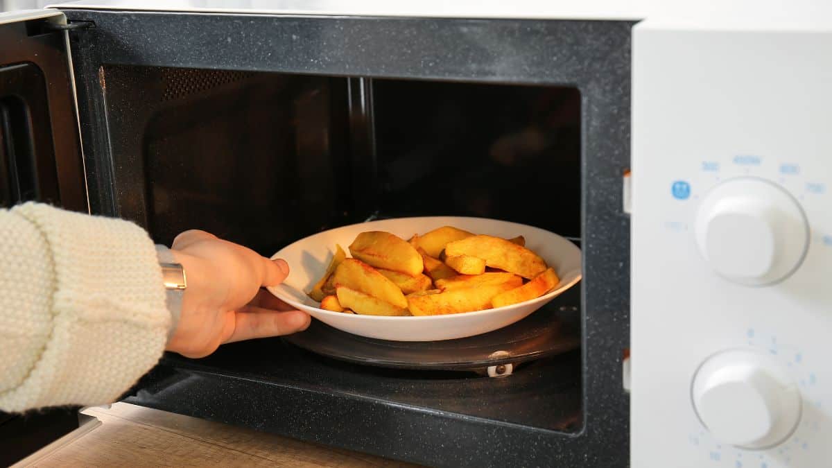 Fries being put in the microwave.