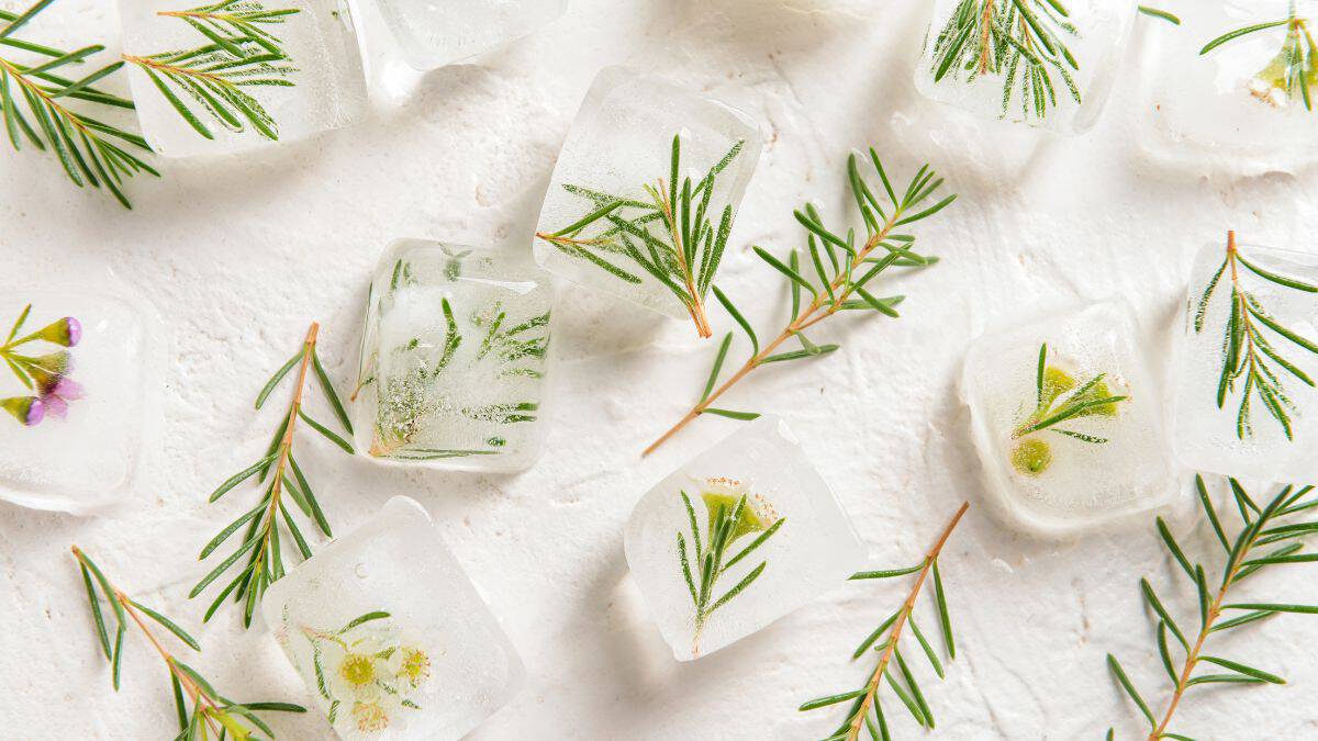 Herb-infused ice cubes.